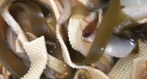 “好歹把碗换一下吧！”砂锅吃出蟑螂，重做后竟端出同一个碗