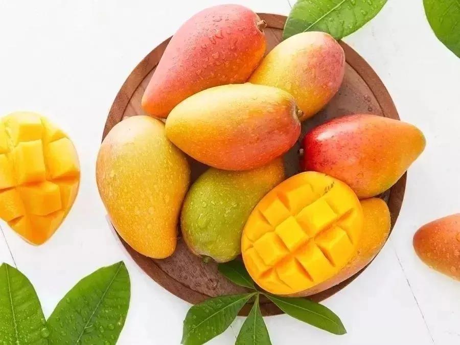 香甜的大芒果海南贵妃芒,芒果味浓郁贵妃芒