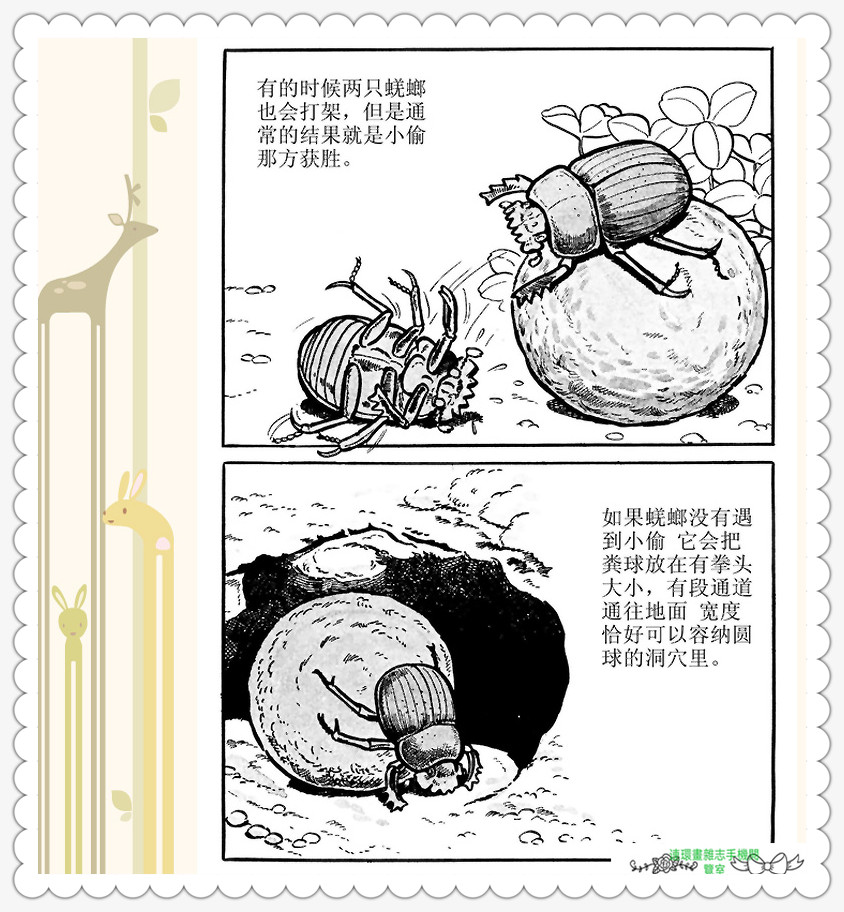 昆虫记法布尔正版全集,昆虫记法布尔阅读答案