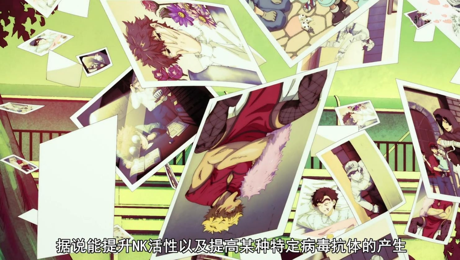 黑历史曝光!NK姐贵是“小公主”,白细胞曾为胖子,反差萌亮了