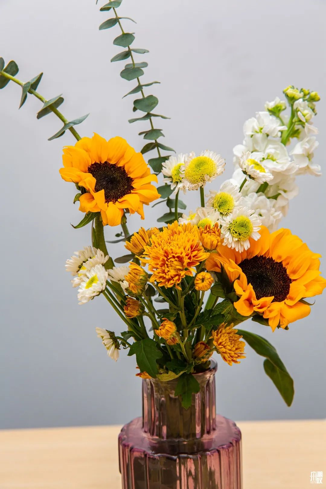 广州最便宜的花卉市场1块钱,广州岭南花卉市场买花攻略