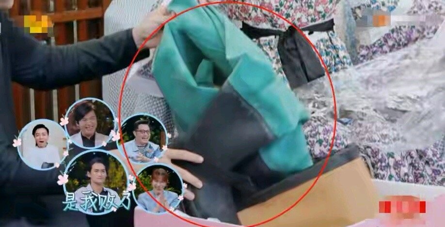 张晋袁弘妻子的浪漫旅行4,袁弘张晋夫妻