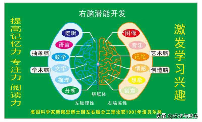 冯德全早教方案0-3岁,冯德全早教全套视频