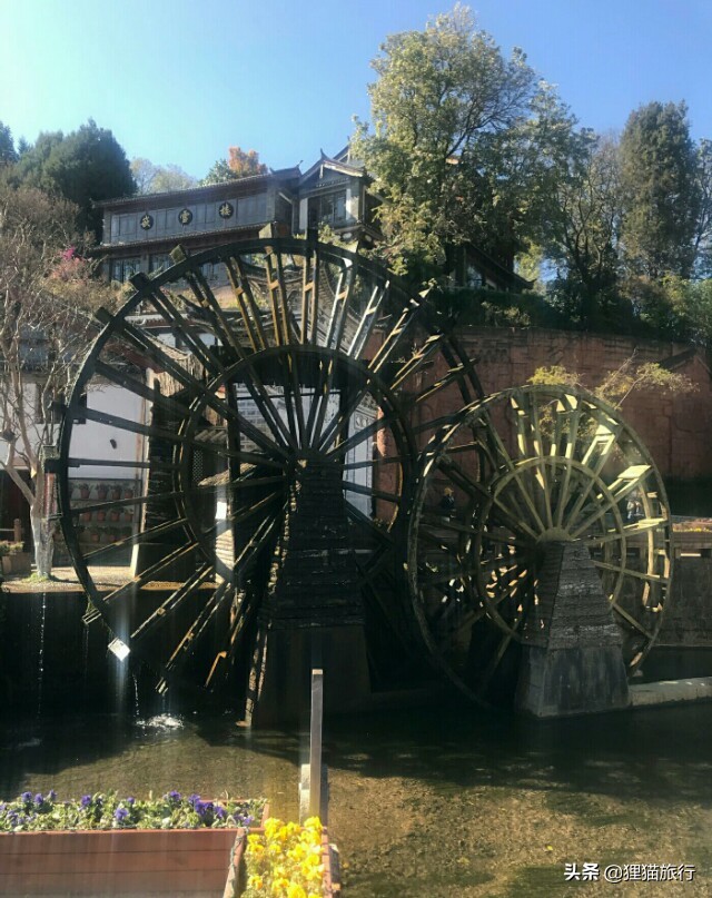 美景治愈云南丽江,云南丽江是一个治愈的地方