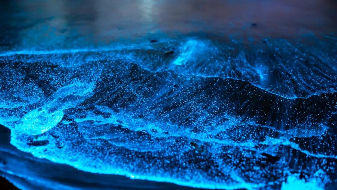 福州一座会让人怀念的城市,福州一座宝藏小镇