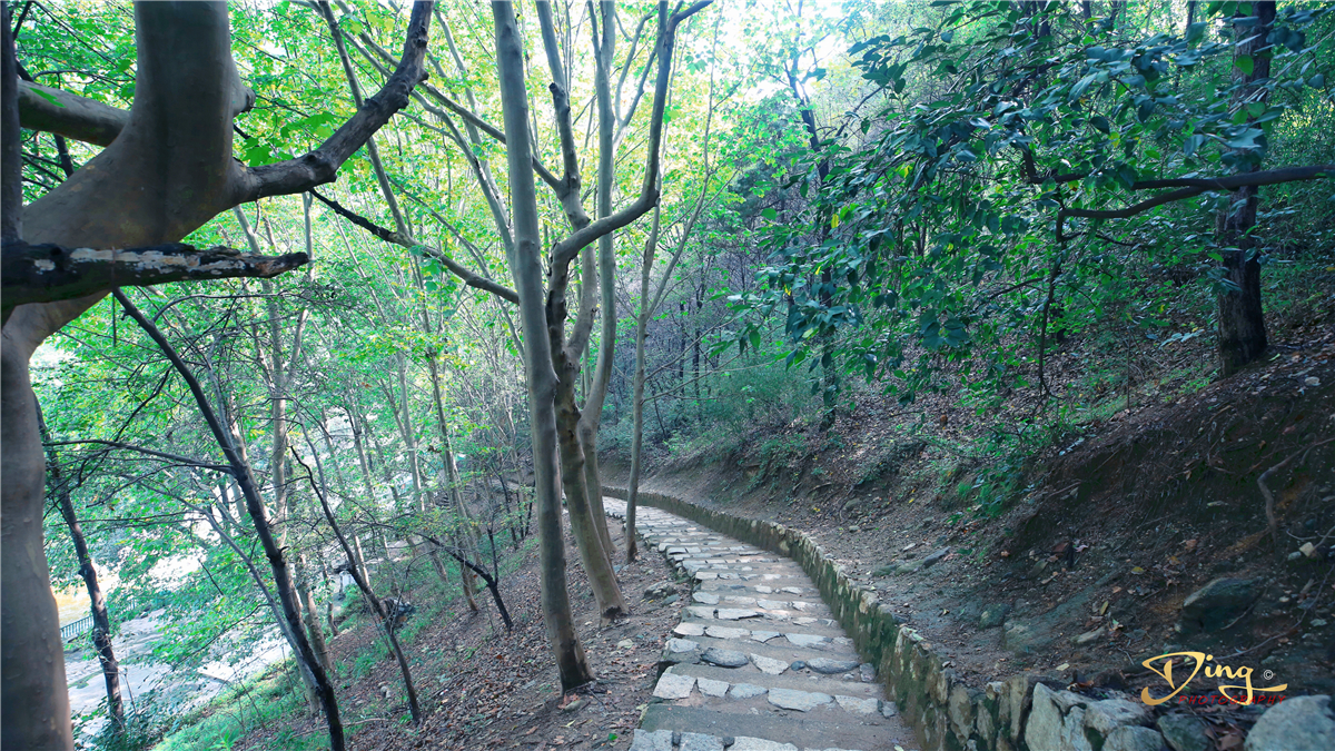 秦岭最美瀑布,秦岭壮观瀑布