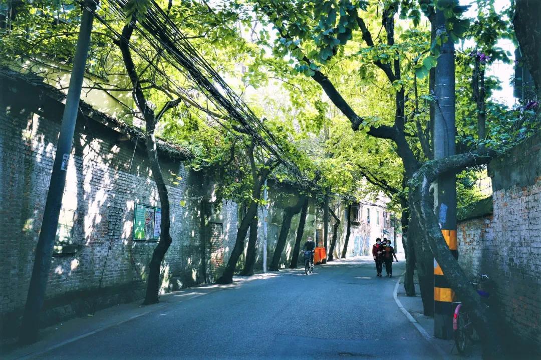 citywalk最受欢迎的旅游方式,citywalk自由行