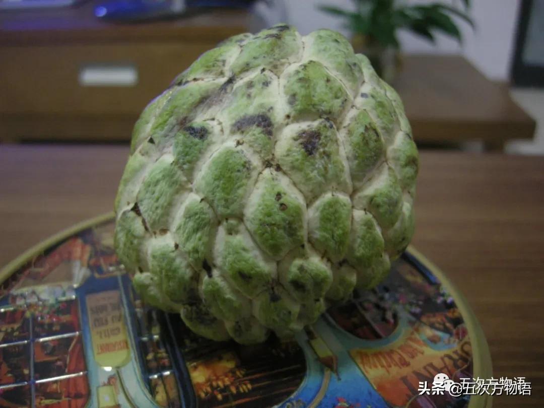 草莓上的小麻点是种子吗,草莓上的小麻点是什么呢