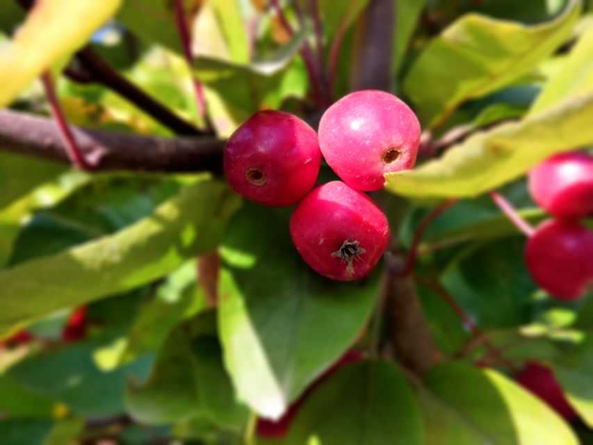 众创网校简介,众创网校官网