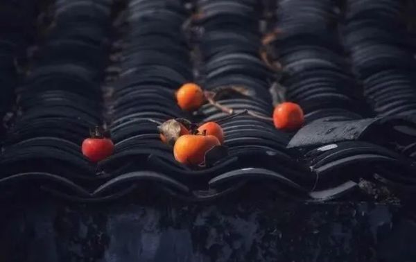 十种最旺庭院的果树,院子里种5种果树能吃好看