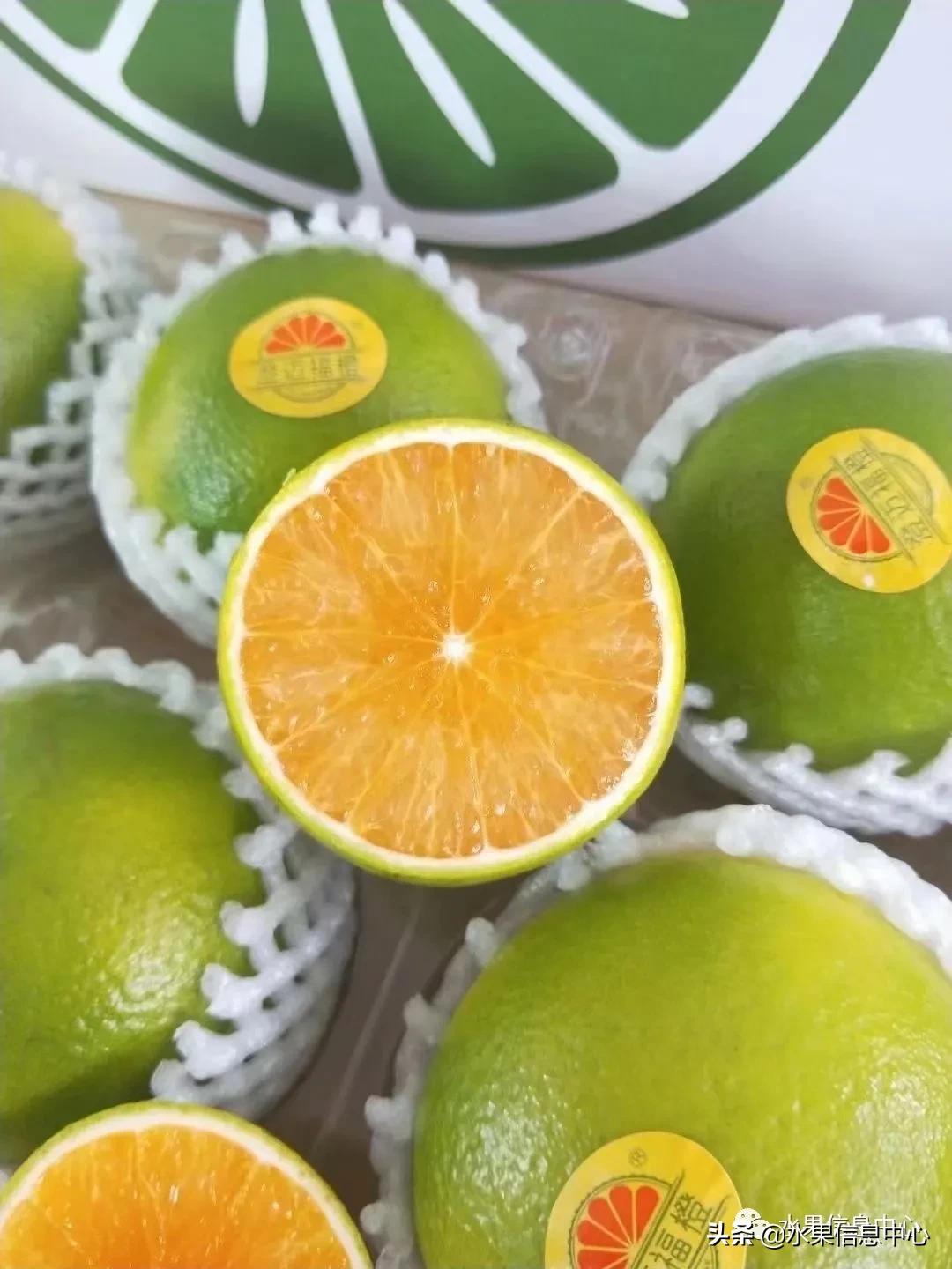 全国橙子产地在哪,中国橙子产地