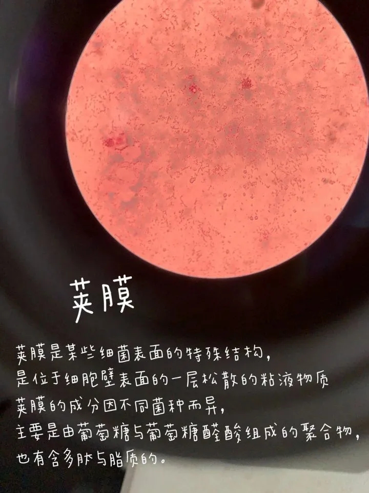 医学生学习打卡做题,医学生学习成果检验视频