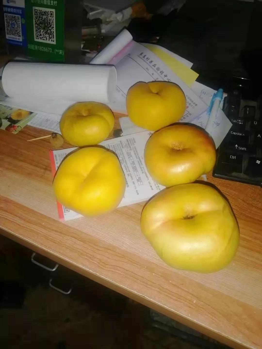 60亩桃园能挣多少钱,10亩桃园一年利润