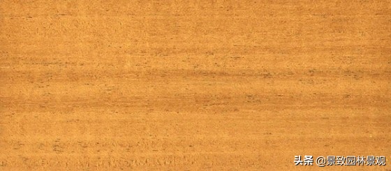木纹最好看的木材图片,各种木材纹理图片与名称