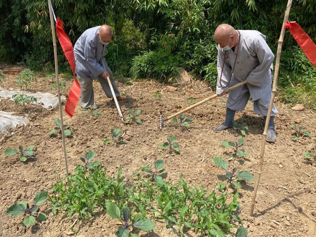 抢抓农时开展农业生产,农民纷纷抢抓春耕生产有利时机