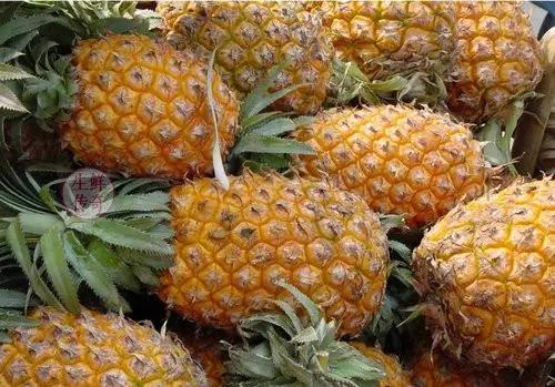 海南必吃十种水果图片名称,海南水果品种大全排名