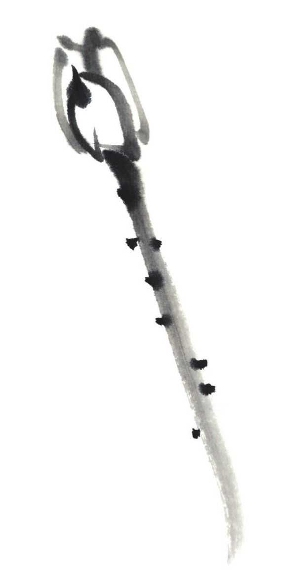 国画刘存惠荷花画法全视频,国画山水画教学视频荷花画法