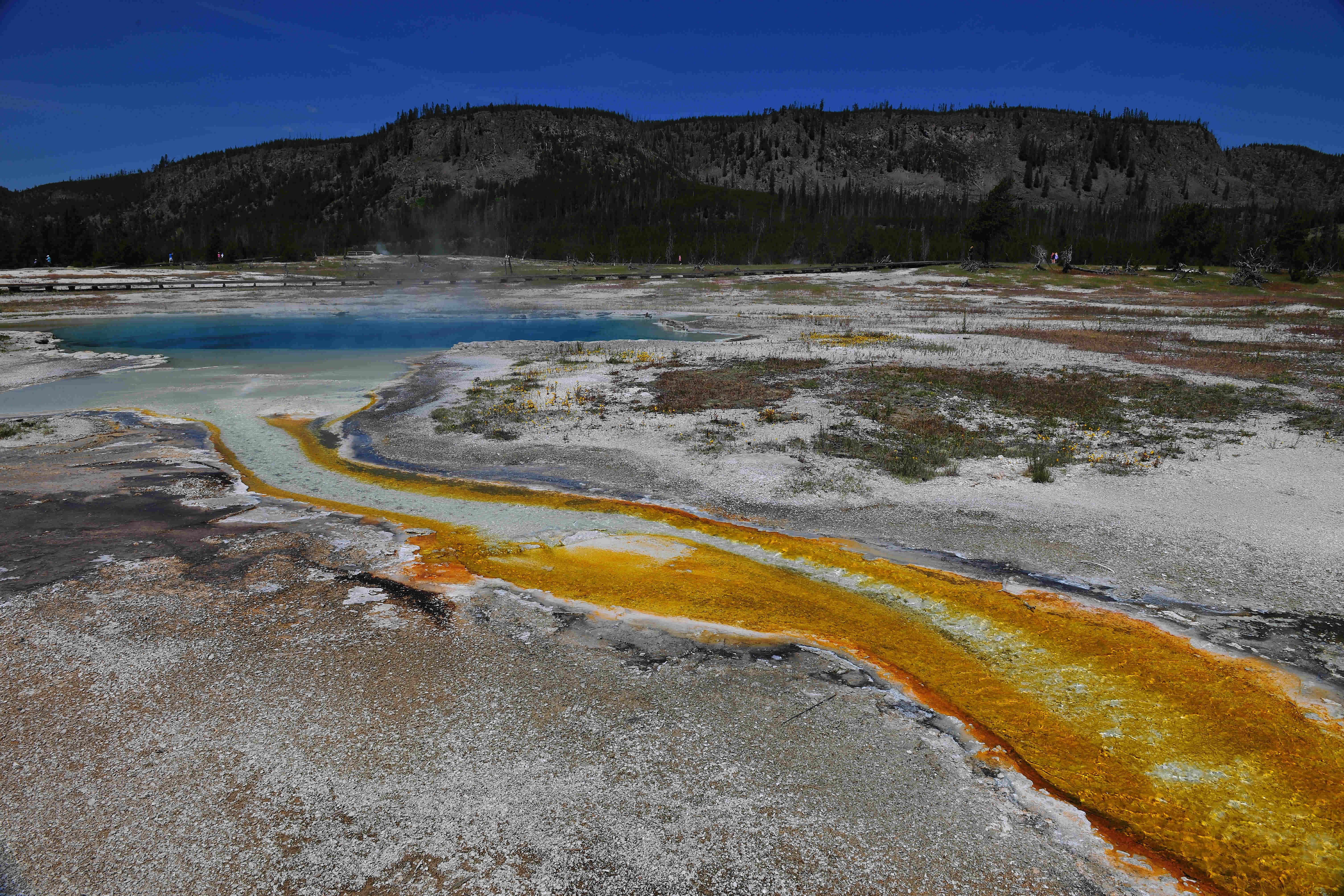 在黄石公园放一颗原子弹会怎样,美国国家公园危险吗