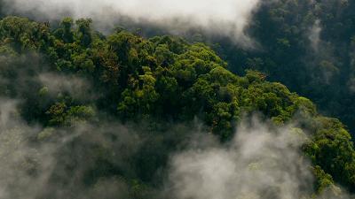 用行动助力环保,用行动共赴环保未来