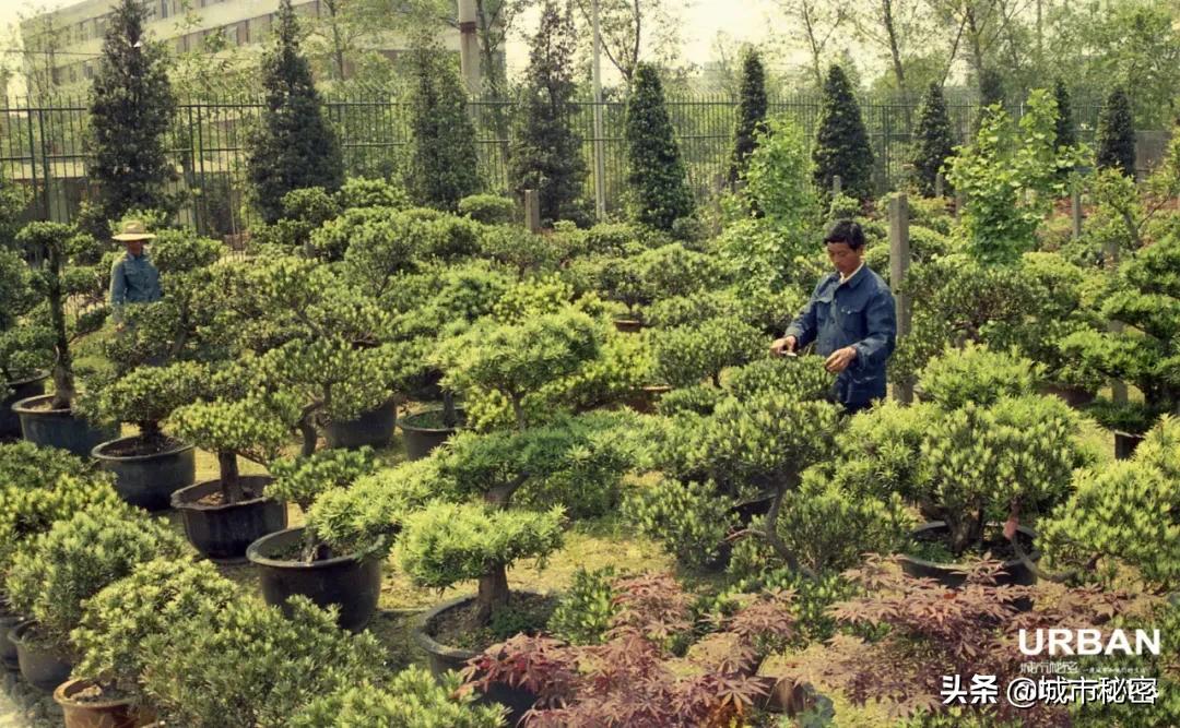 杭州旅游烟火气,杭州哪里还有江南风情