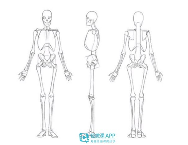 人物原画教程零基础,原画人体如何选色