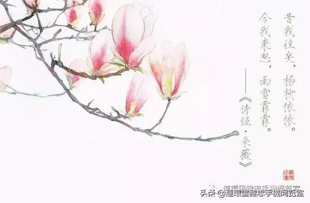 诗经俏皮句,诗经美句朗读