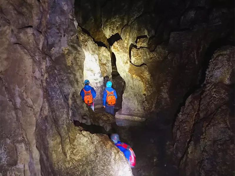 惊世奇观丨汉中68万岁天坑揭秘，地下河、剑齿象化石...