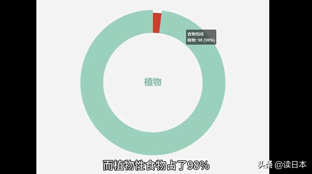 日本熊吃人事件地点,17年日本熊吃人事件