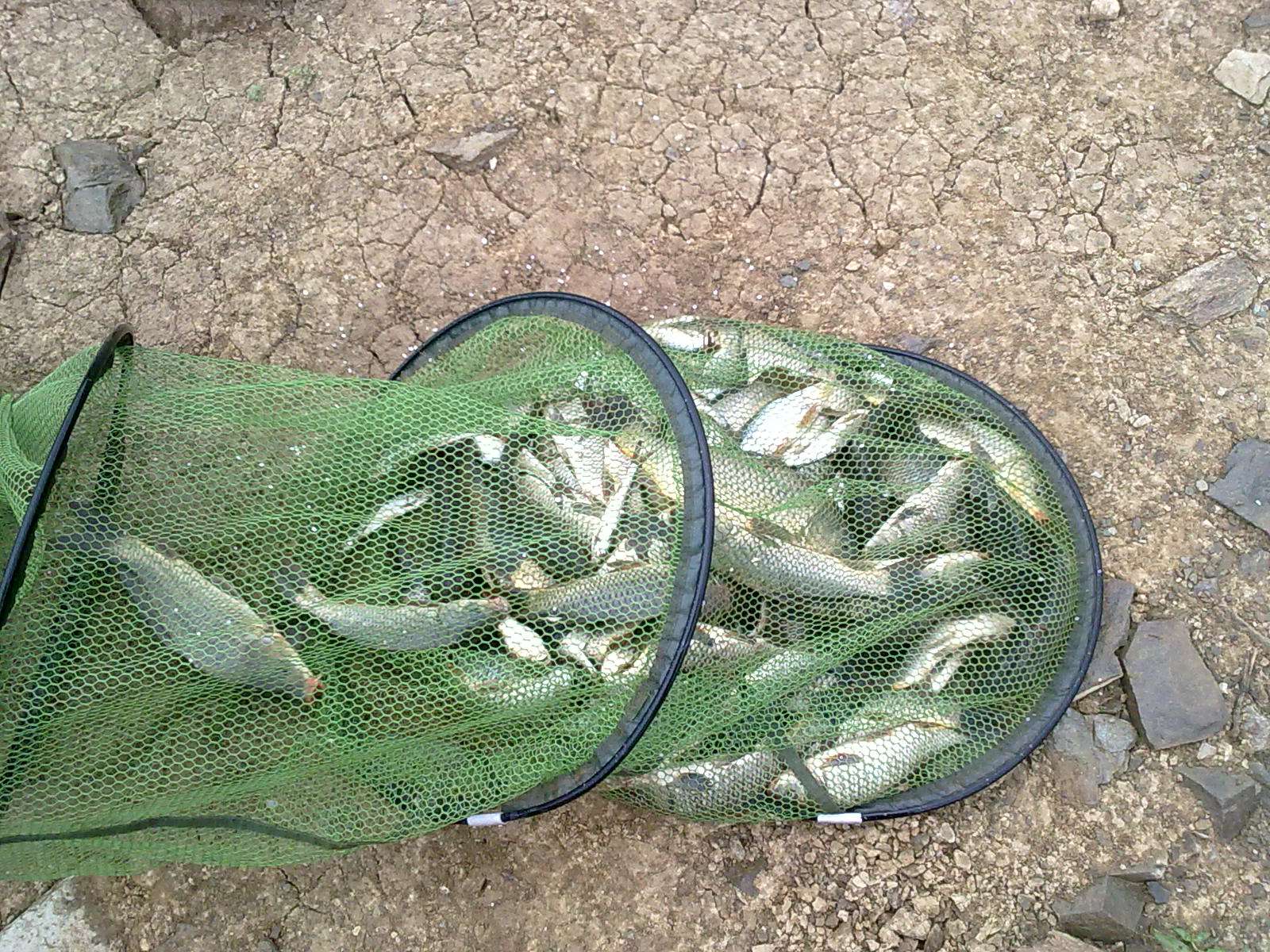 哪种添加剂钓鱼好用,冬天钓鱼用什么添加剂最好