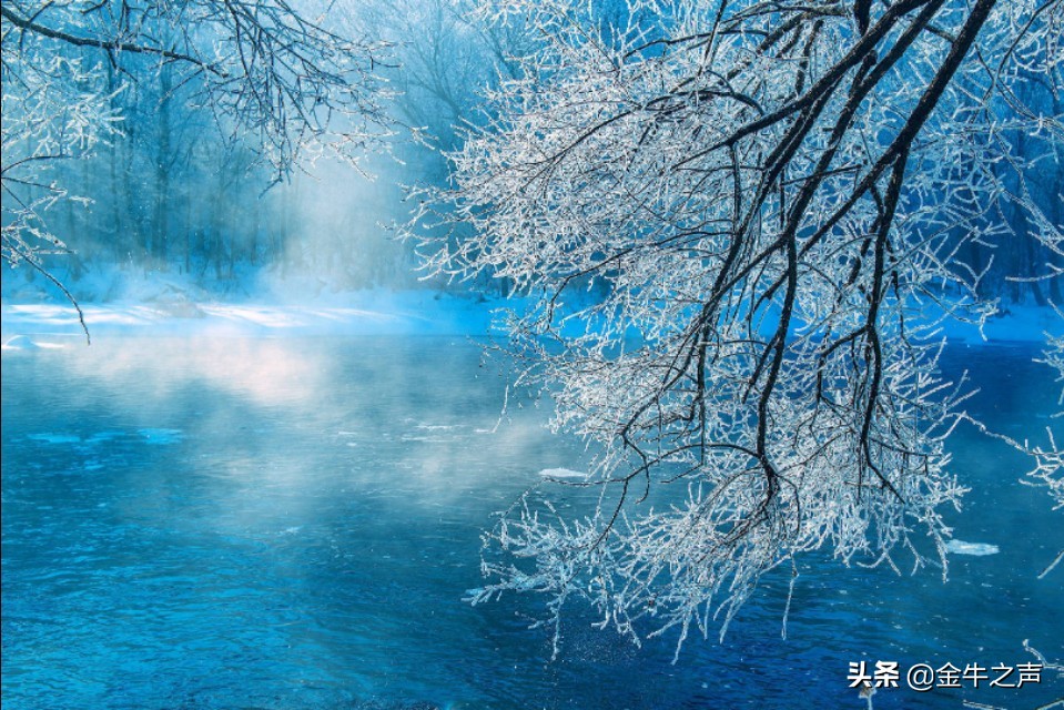 诵读国学传诵经典,关于国学经典传诵的视频