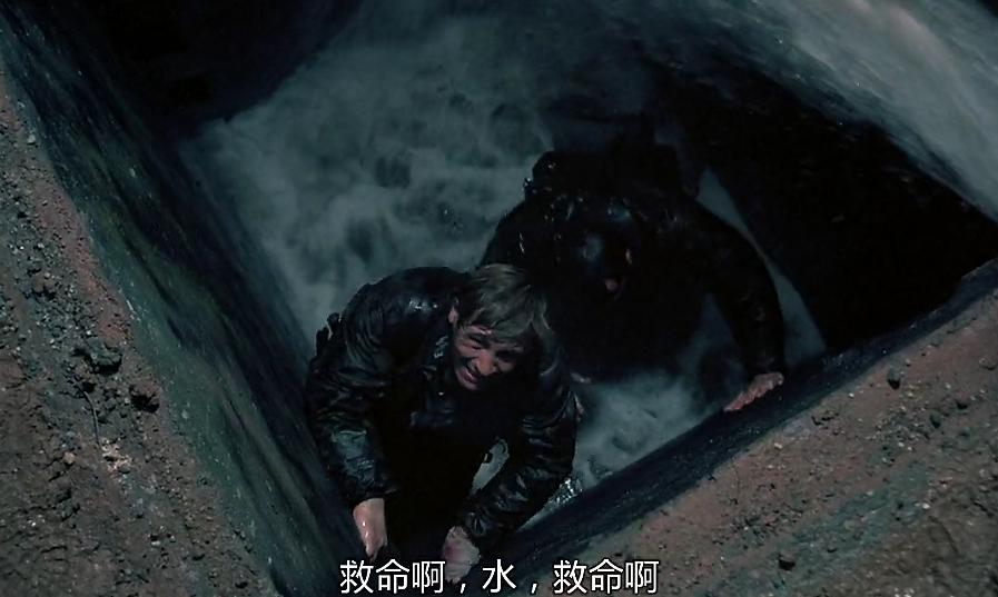 一个男人的复仇完整版,一个男人复仇杀了很多人