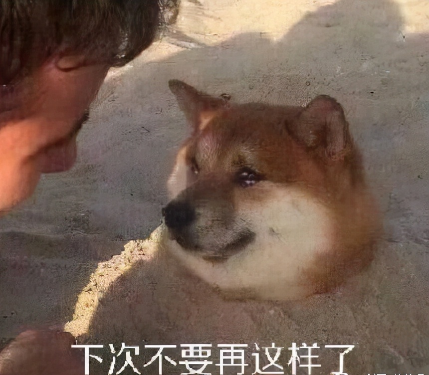 剑网三蓬莱上手难吗,剑网三蓬莱跟哪个门派配合