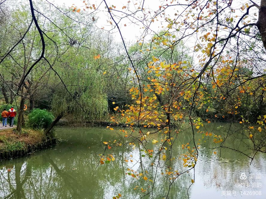 绝美西溪,西溪南冬季景色