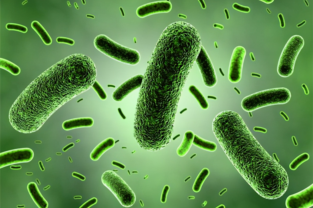 萎缩性舌炎是口腔卫生异常吗,萎缩性舌炎的鉴别诊断