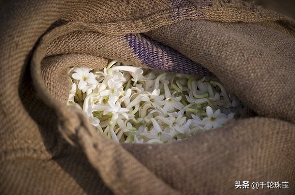 香奈儿chanel嘉柏丽尔香水,香奈儿香水cocochanel