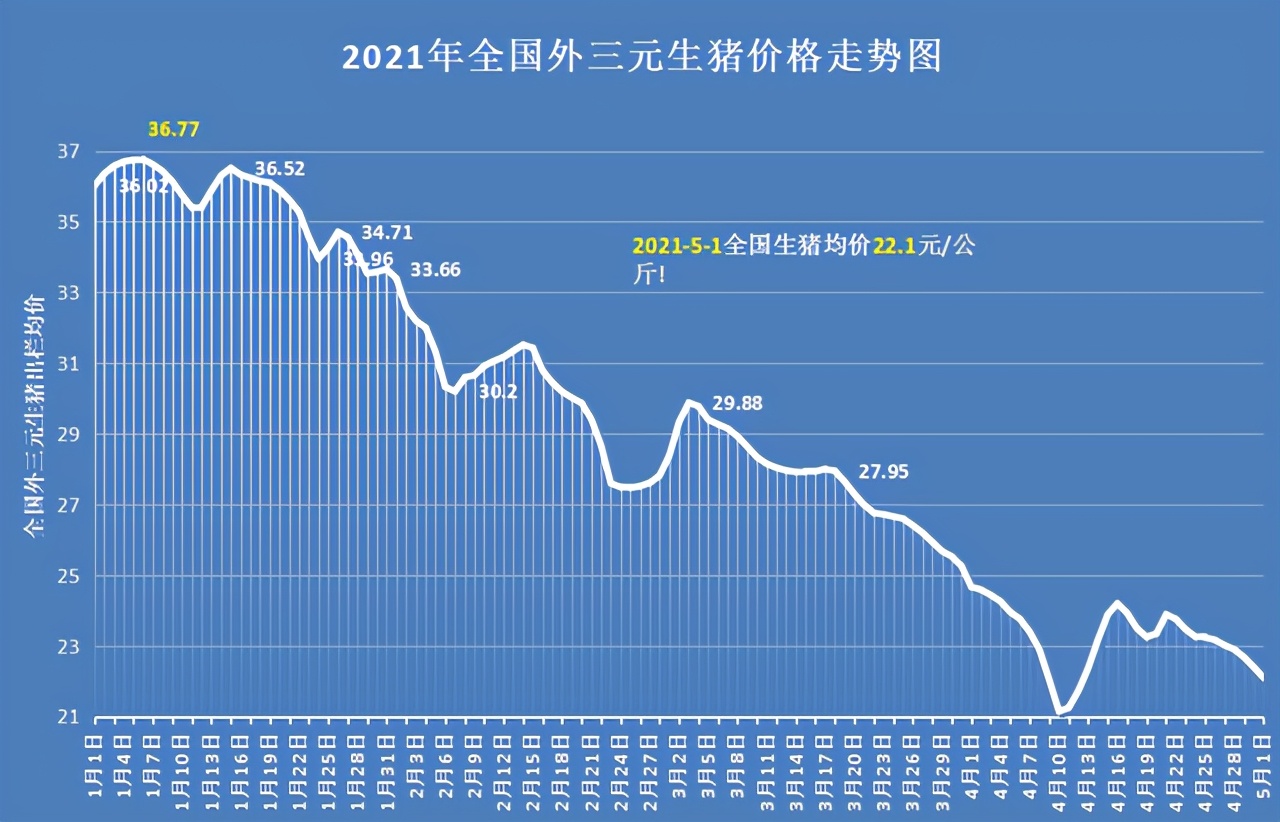 未来10天的猪价是跌还是涨,猪价或将呈现先跌后涨的基本行情