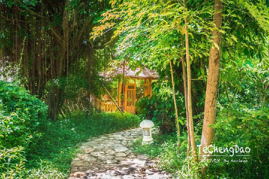 去湛江住特呈岛好还是住金沙湾好,今天湛江特呈岛风景区值得去吗