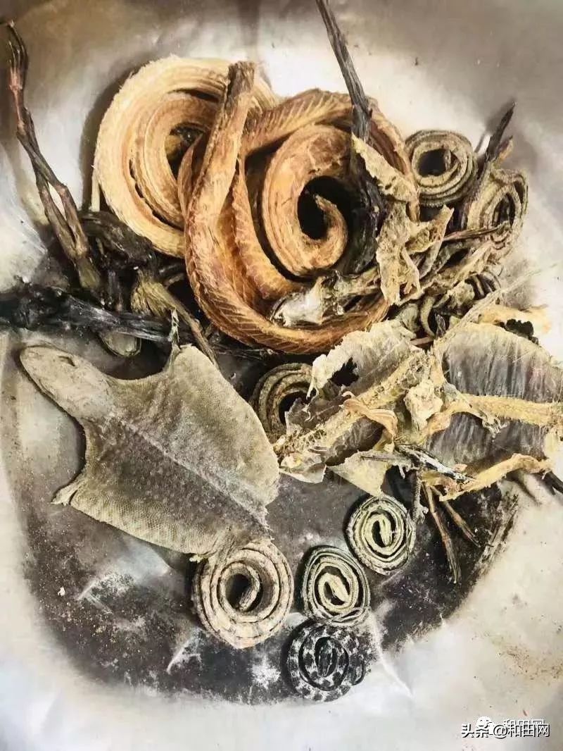 和田欣明南国城美食,和田欣明南国城音乐餐吧联系方式