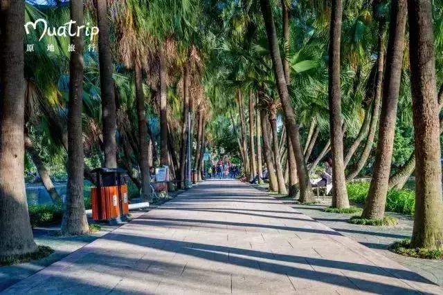 广州踏青好去处地铁附近,广州周边地铁一日游最佳路线