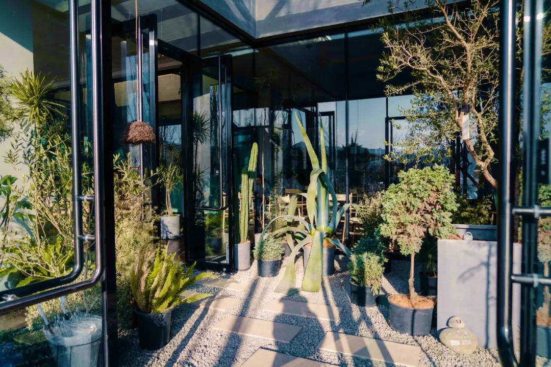 京城首家！探秘最热门“一尺花园”咖啡馆，西山脚*体下**会海派腔调