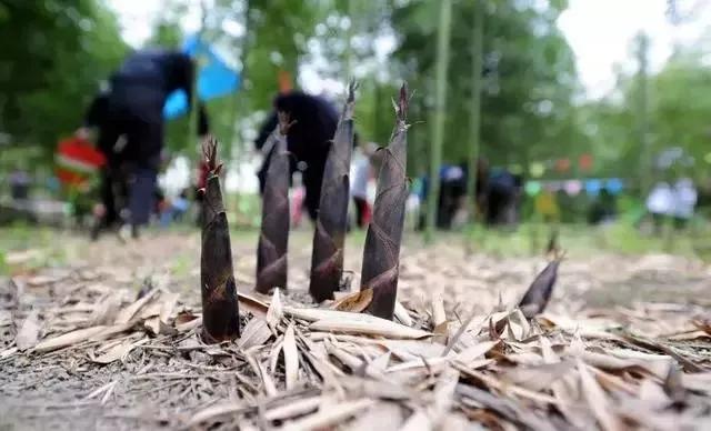 精神萎靡感冒,精神病人感冒了怎么办