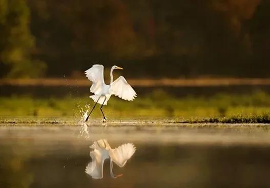 什么是呆头呆脑的人,天天呆头呆脑的人是什么样的人