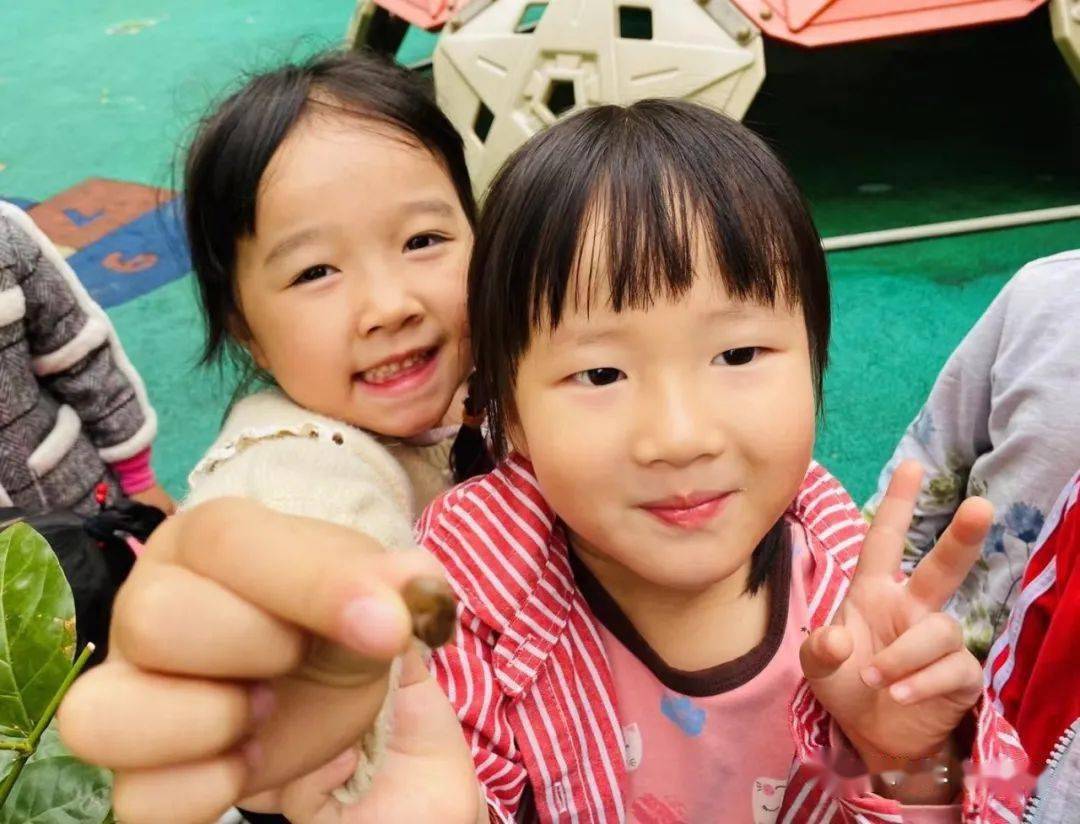 警惕雨后出现的大蜗牛千万别碰,下暴雨时蜗牛会怎样生活