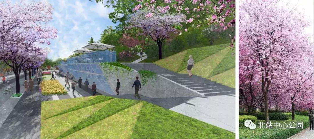 相当于112个足球场的图片,深圳足球公园效果图