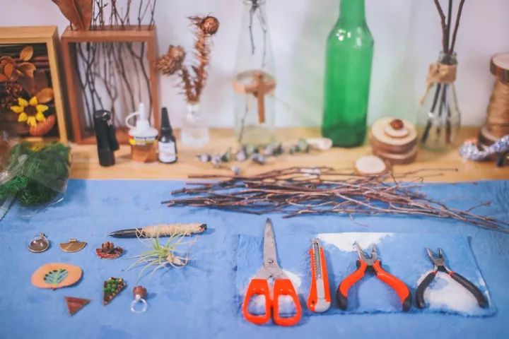 她31岁放弃北漂高薪，回归森林“捡垃圾”，用树叶打造出人间仙境