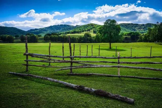 如何用好35mm焦段,35焦段拍摄的优点和缺点