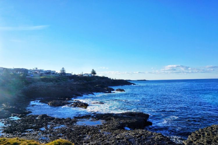 最新24年澳洲留学申请到底难不难,澳洲留学申请先来了解这几个步骤