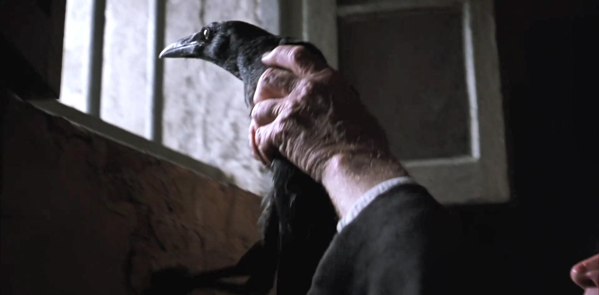 肖申克的监狱生活,肖申克的救赎监狱长贪污片段