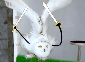 今年有什么小萌款lolita,lolita裙子上新