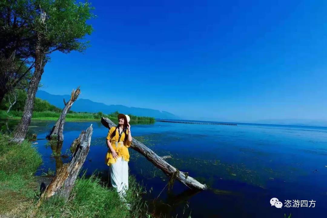 云南国庆行：最美的环海西路及海舌公园